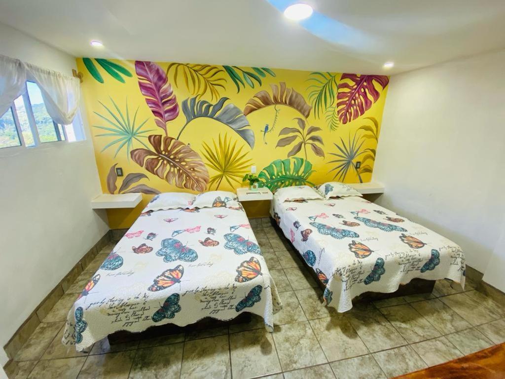 K&M Hotel Xilitla Buitenkant foto